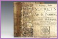 Unlock The Secrets Of Art, Science & Nature With Samantha Lewe